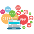 website development